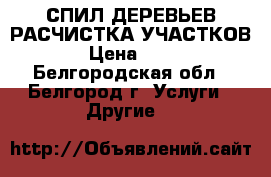 СПИЛ ДЕРЕВЬЕВ РАСЧИСТКА УЧАСТКОВ  › Цена ­ 100 - Белгородская обл., Белгород г. Услуги » Другие   
